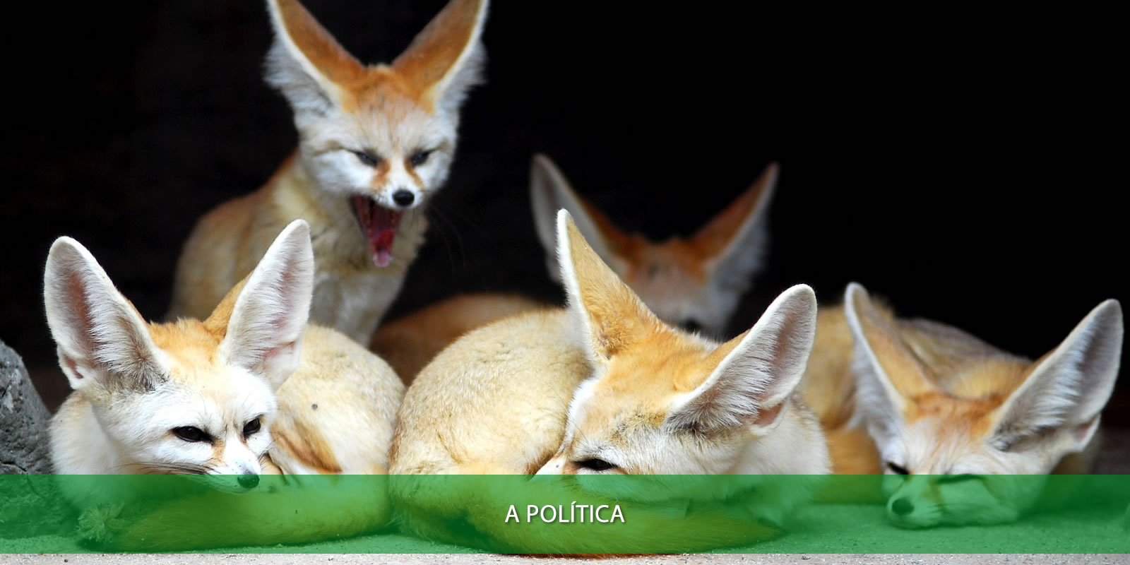 Figura 3 - PERSPECTIVAS DE ANO NOVO. O QUE SUA EMPRESA PODE ESPERAR DE UM 2022 INCERTO